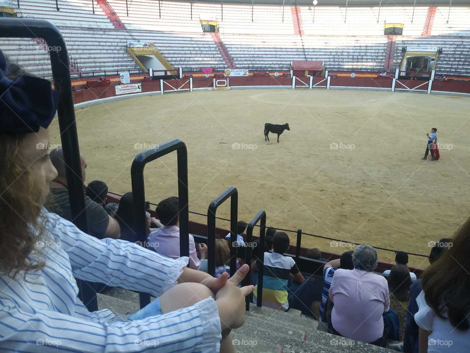 bullfighting