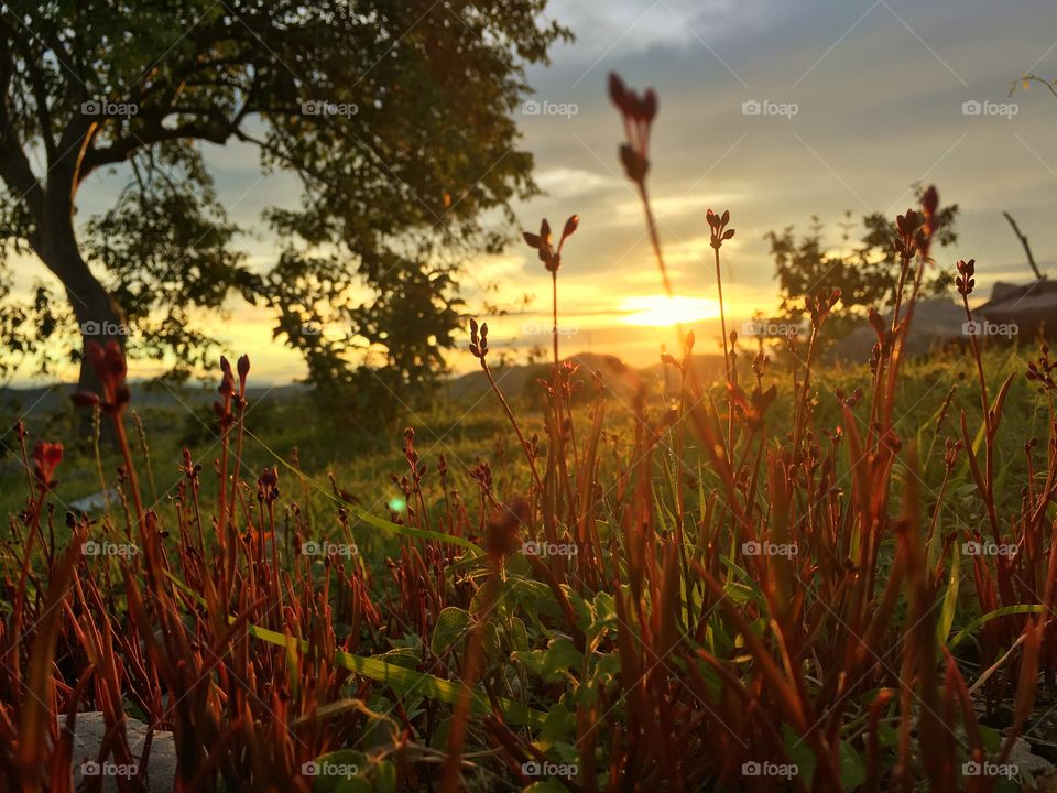 Sun is shining...nature 