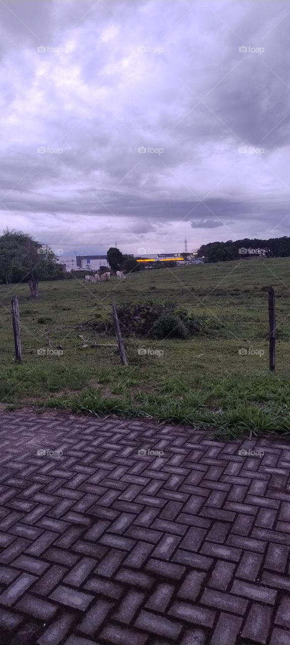 illuminated factory at night