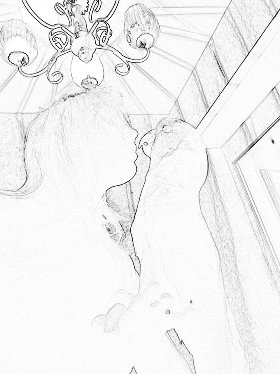 Digital Sketch - girl and her cockatoo 