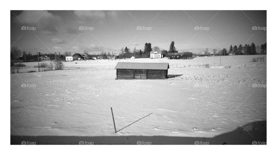 Black and White house