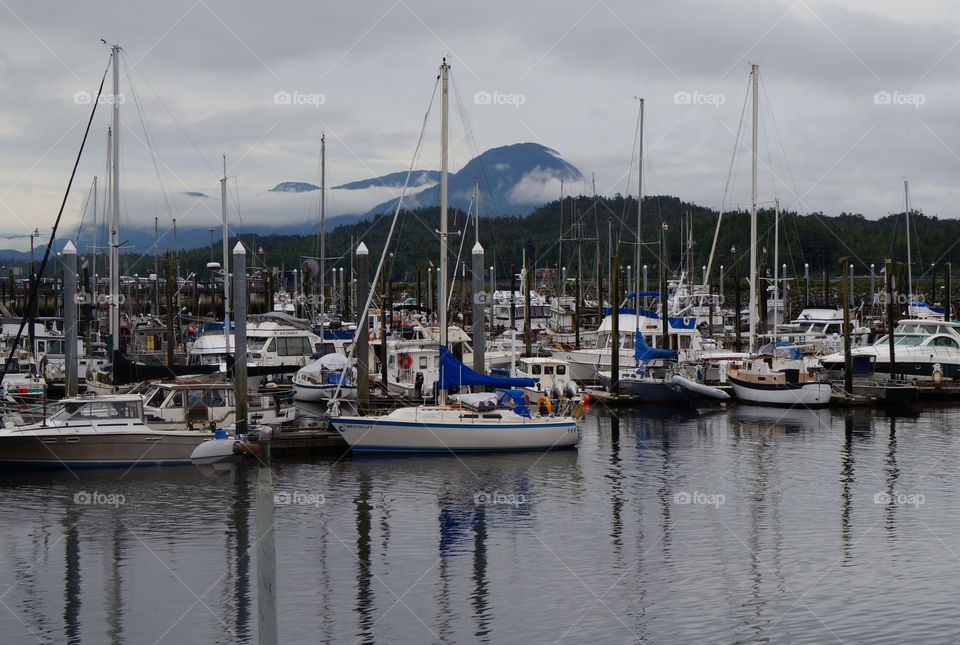 Alaskan sea town with a harbor filled with boats.