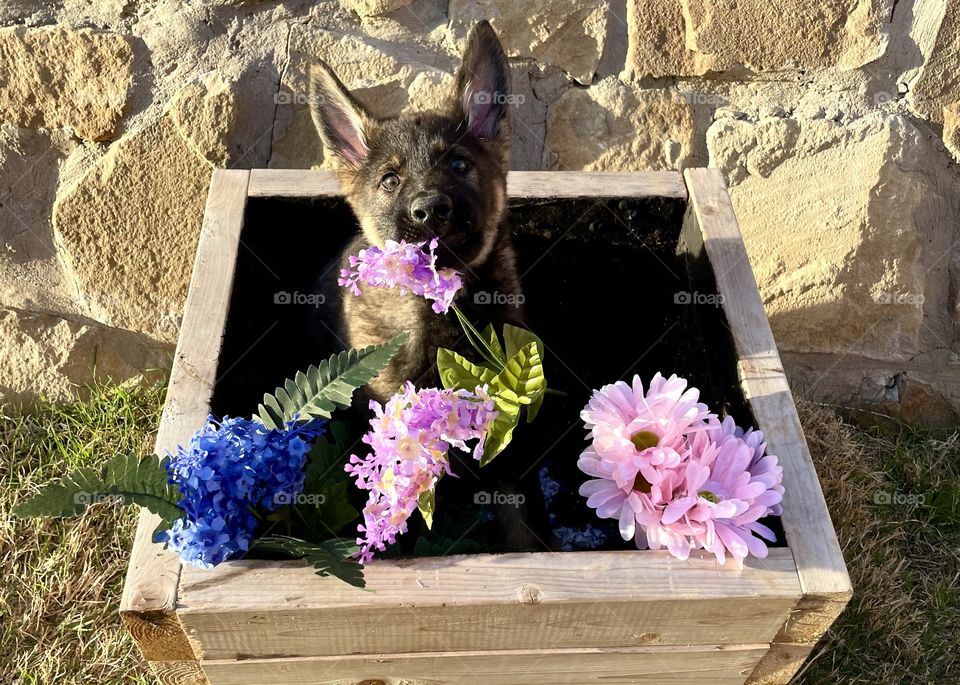 Happy (almost) spring! 