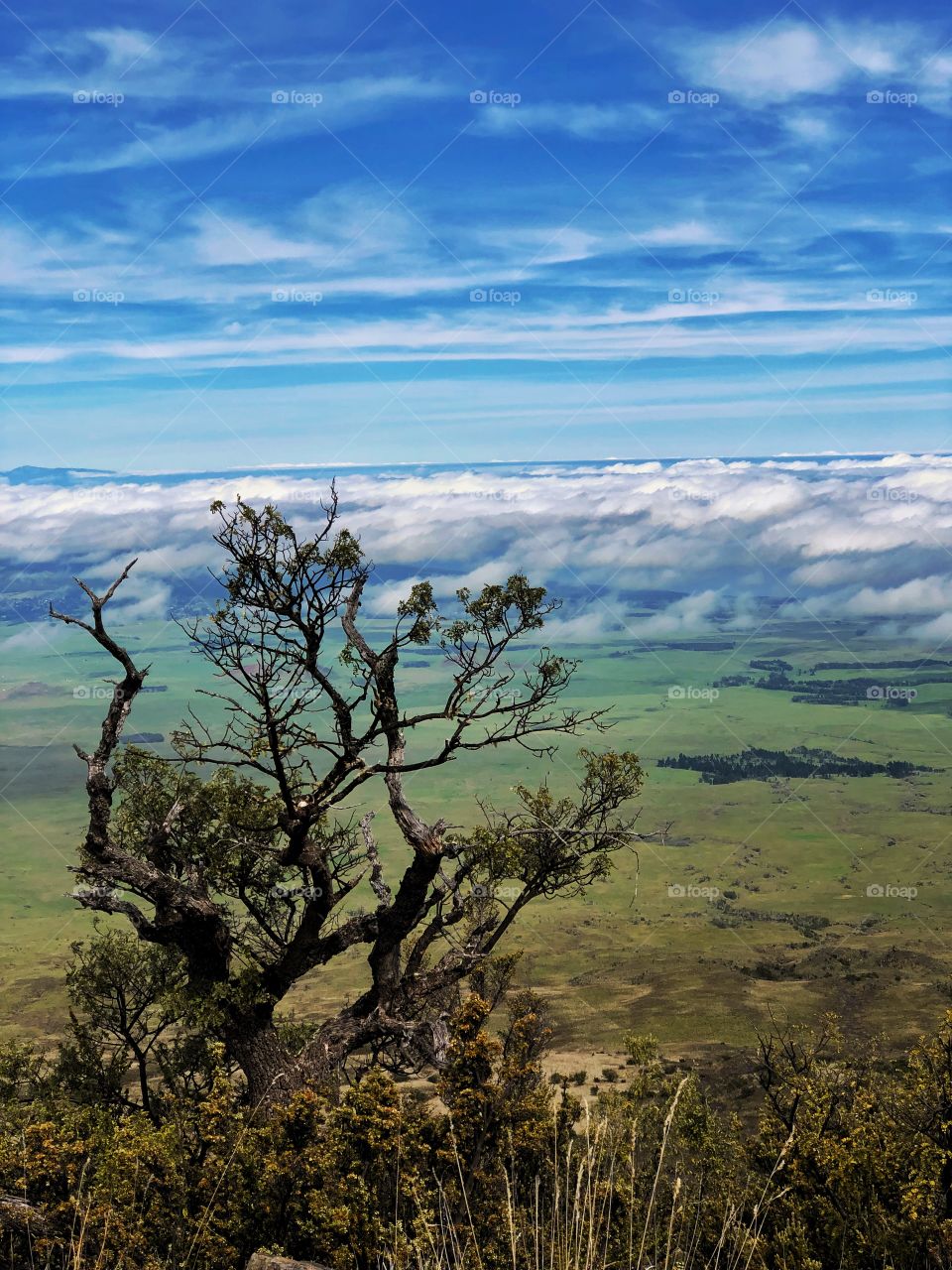 View from Mauna Kea