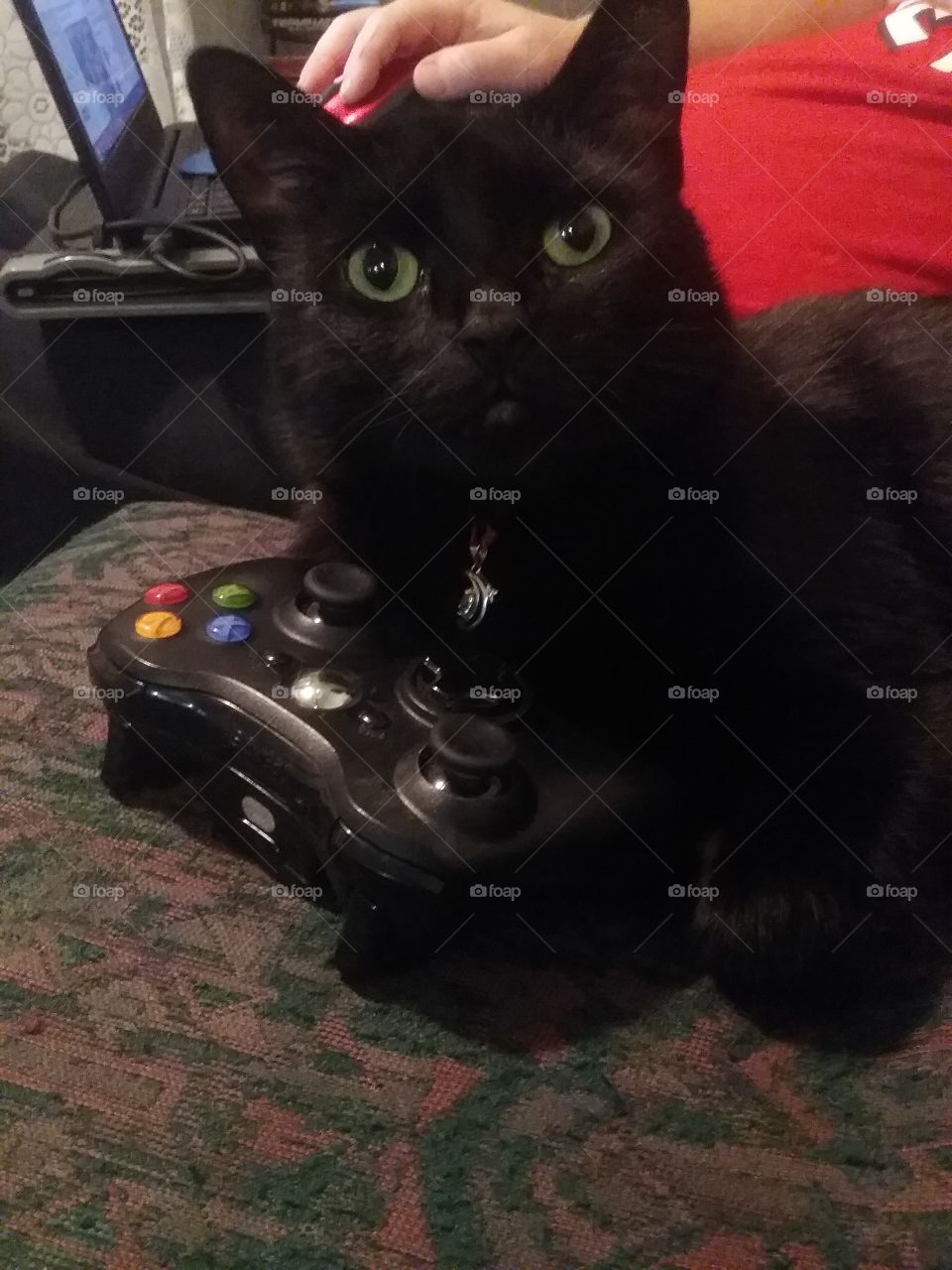 cat Xbox controller