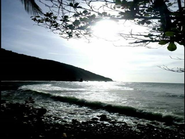 Playa, Edo. Vargas, Venezuela.