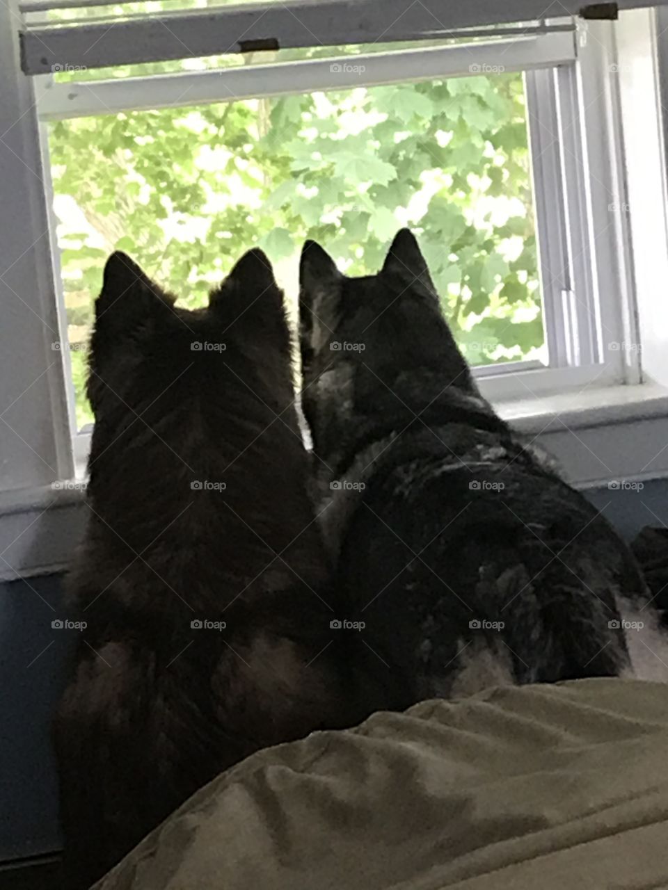Watching outside