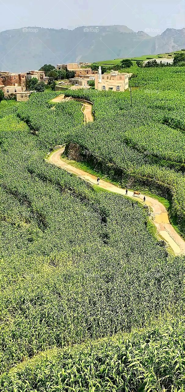 Glory be to God, the magnificent and picturesque view and the natural green trees are a view that is nothing more wonderful than it