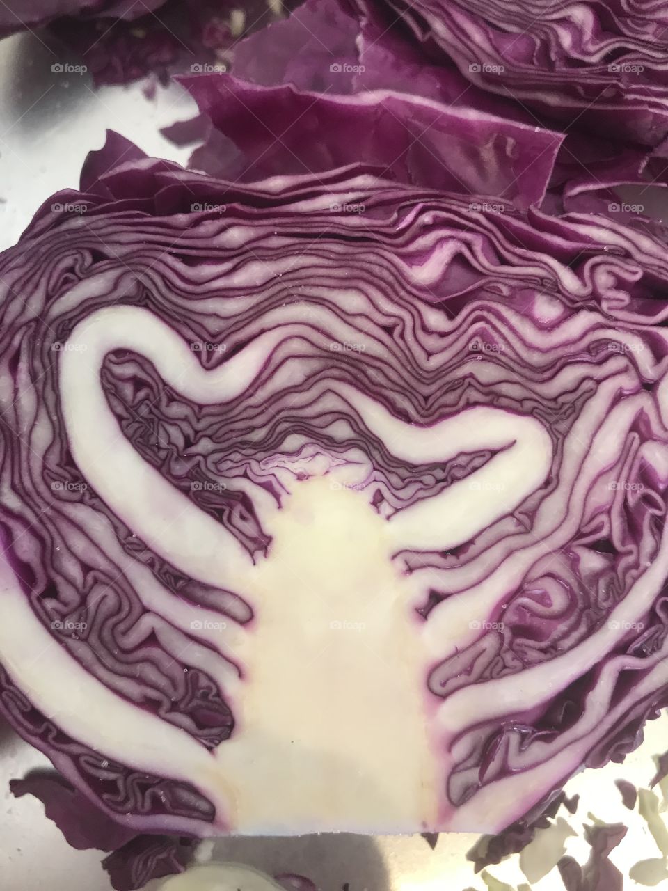 Cabbage 