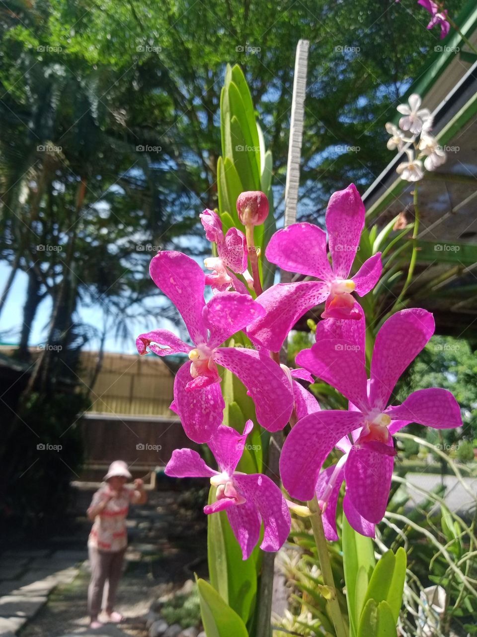 Interesting photo of  mom and orchid.
