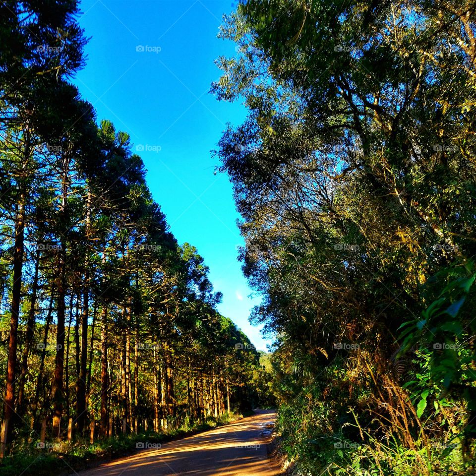 Paisagem convidativa para a tranquilidade, a paz de espírito.