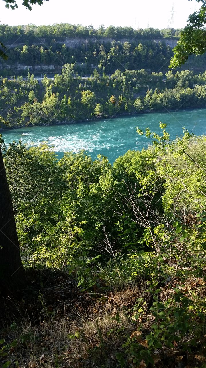 Lower Niagara