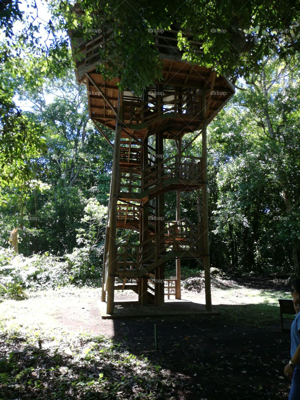 Los Naranjos, Honduras