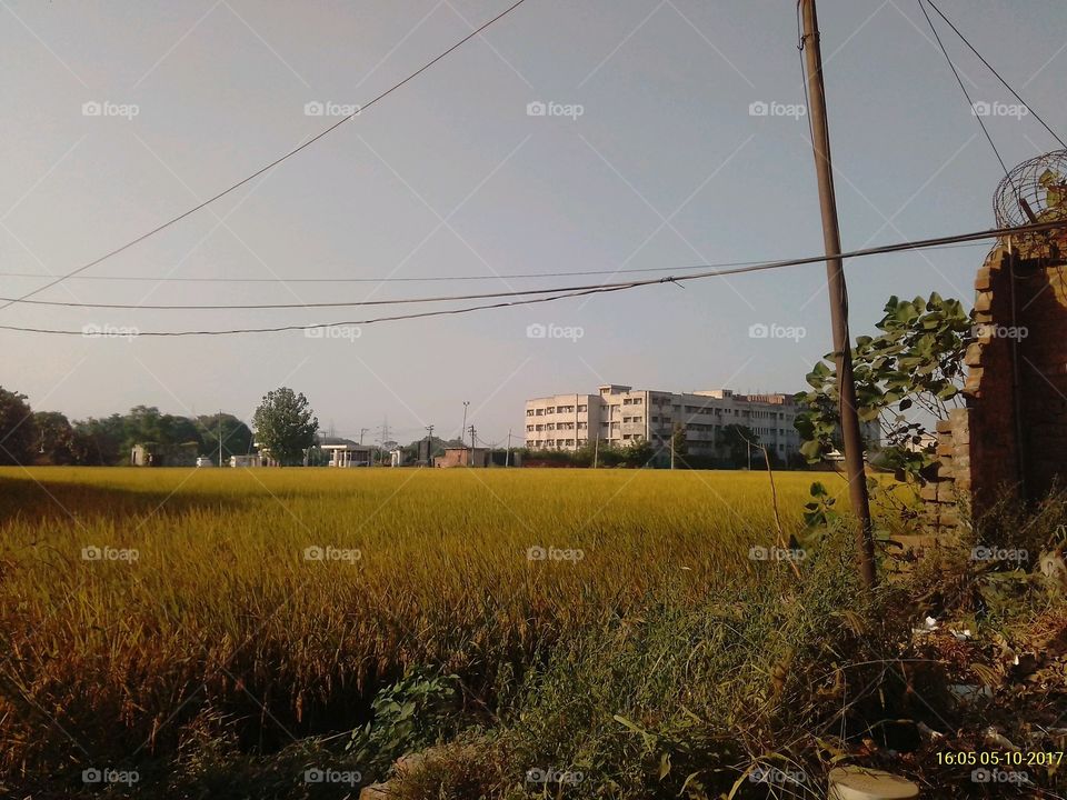 No Person, Wire, Agriculture, Landscape, Sky