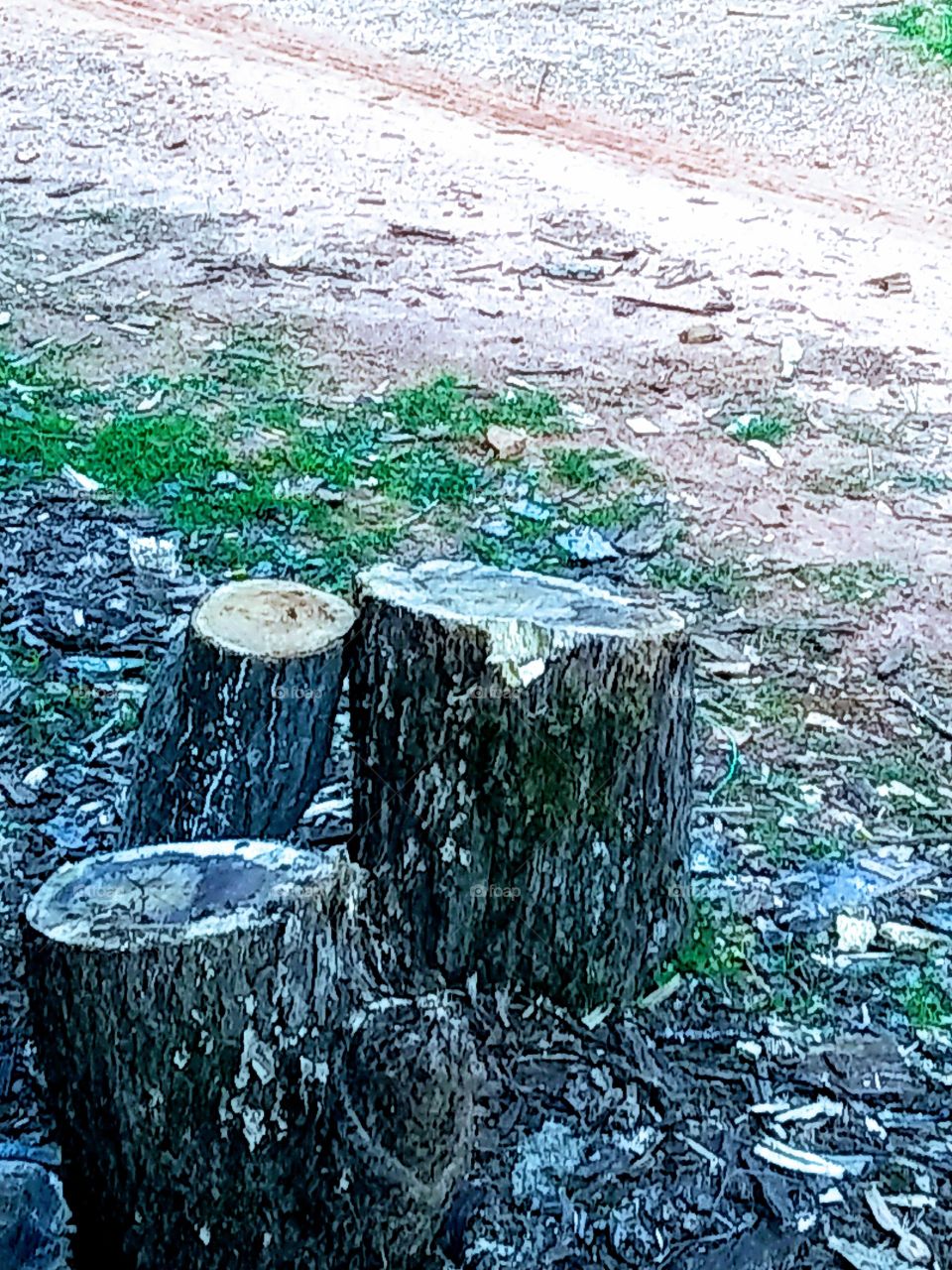 stumps