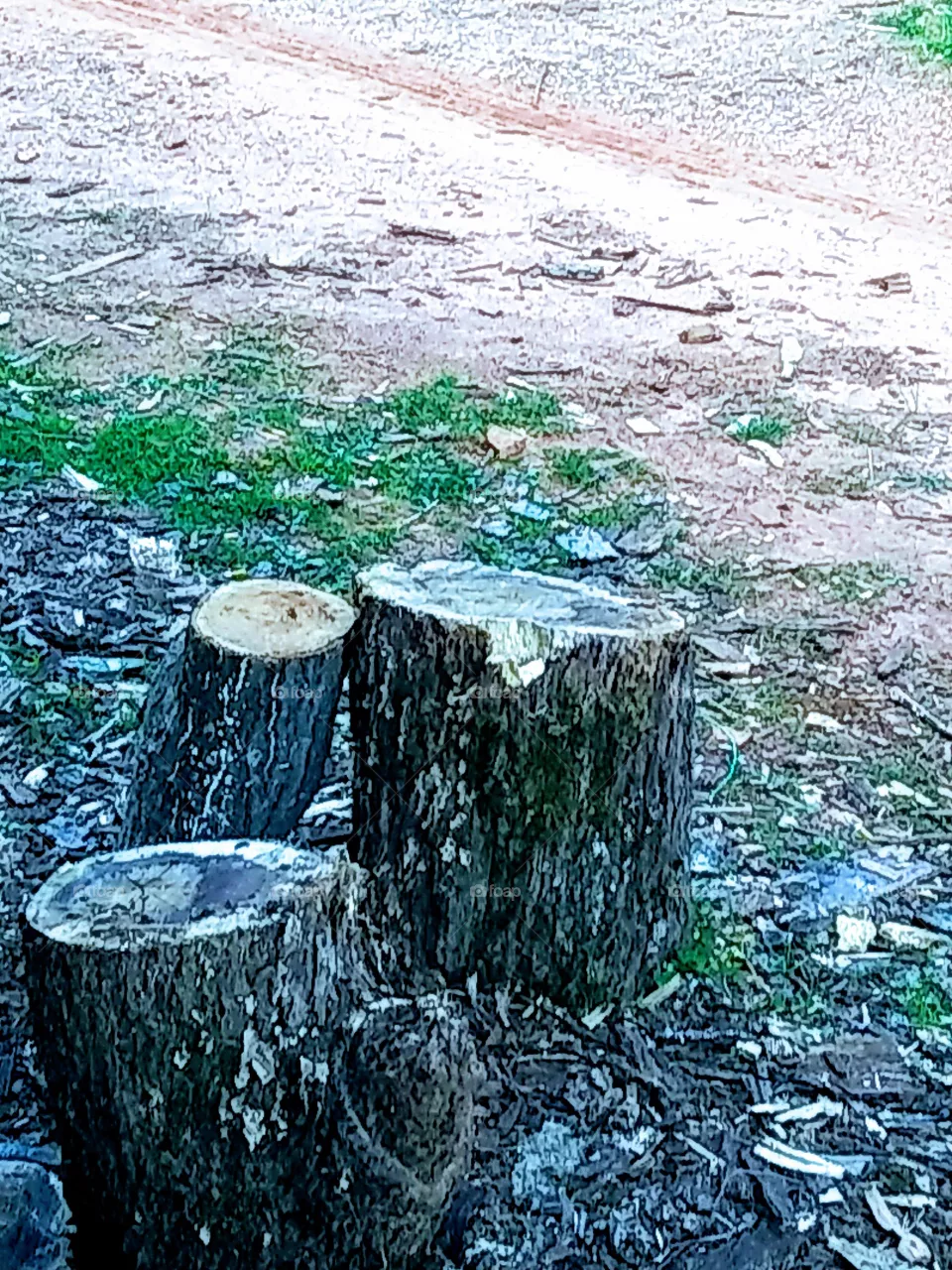 stumps