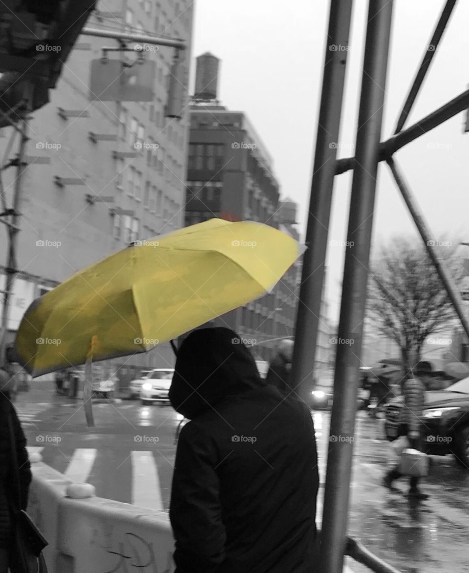 Woman walking in SOHO with umbrella on a rainy day, New York City 
