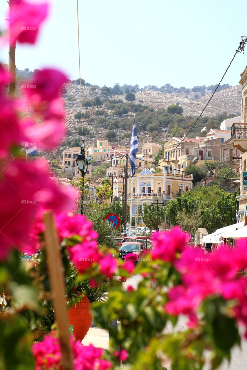 # island # aegean # flowers #port # Greece #travel