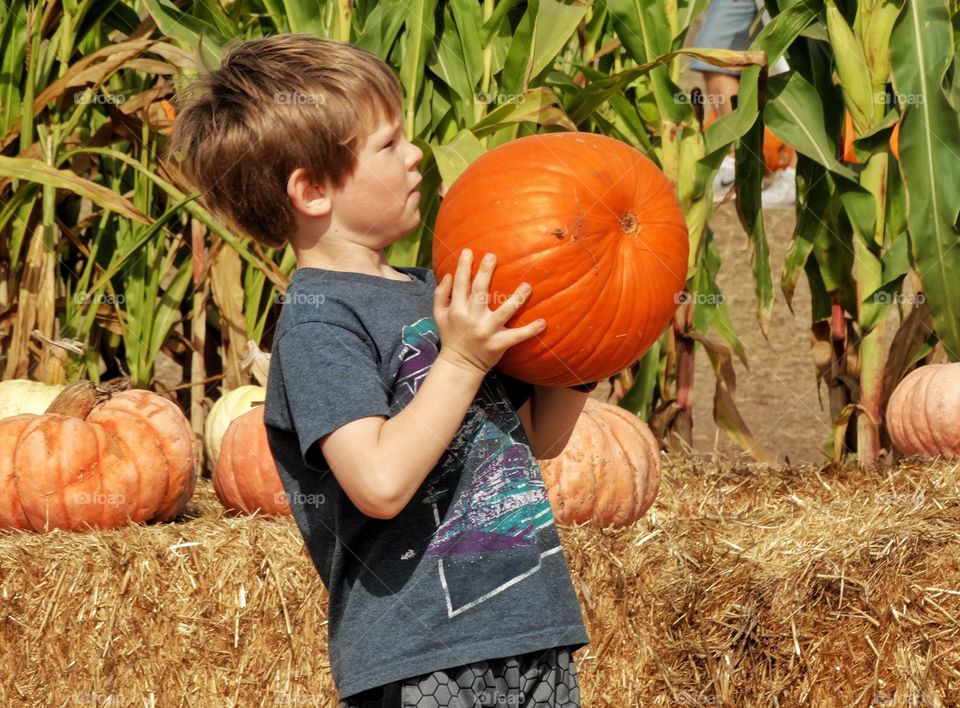 Young Boy At The Pumpkin Patch
