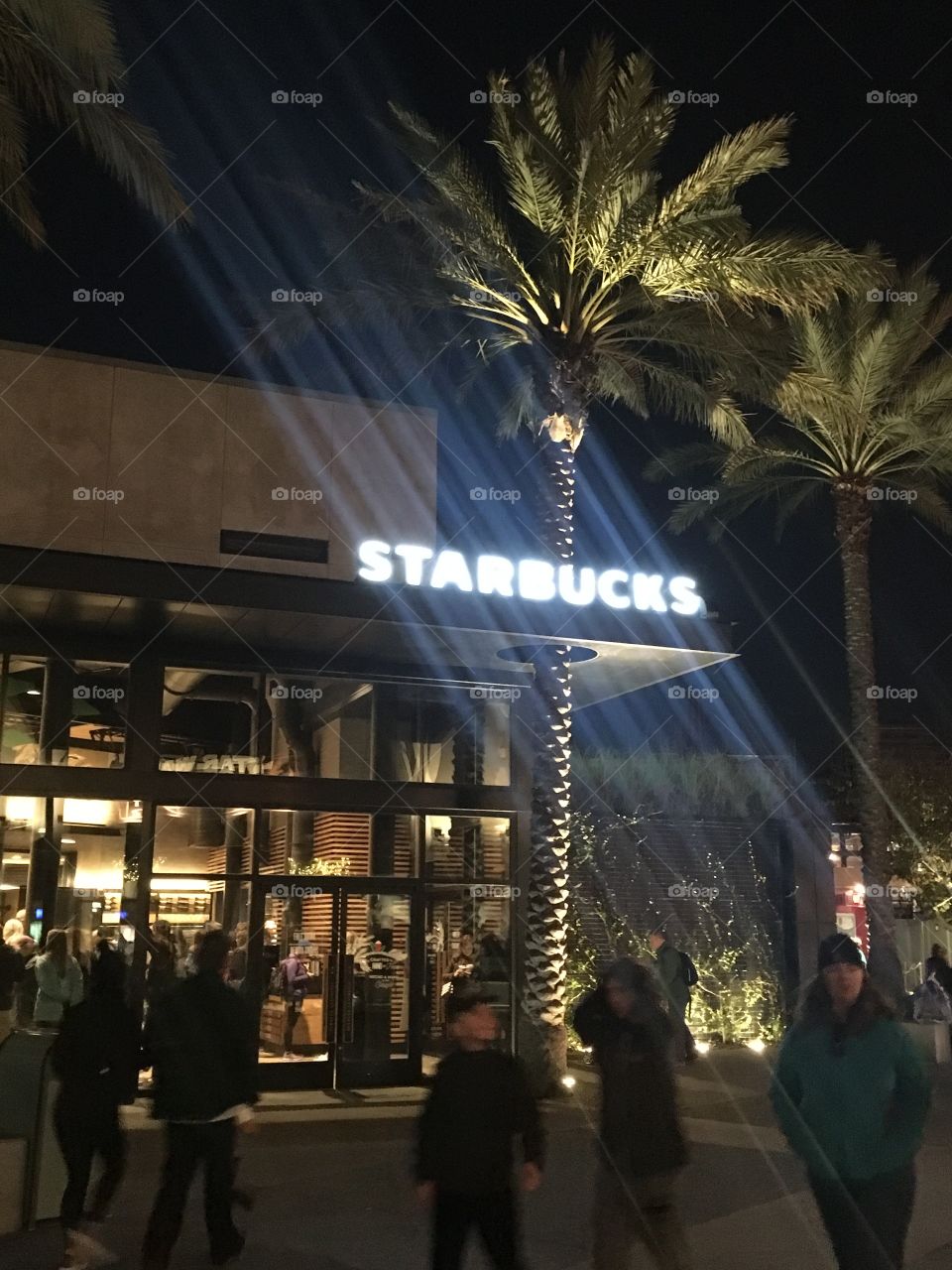 Starbucks overhang designed to let a palm tree grow through it, with illuminated sign and blur effect