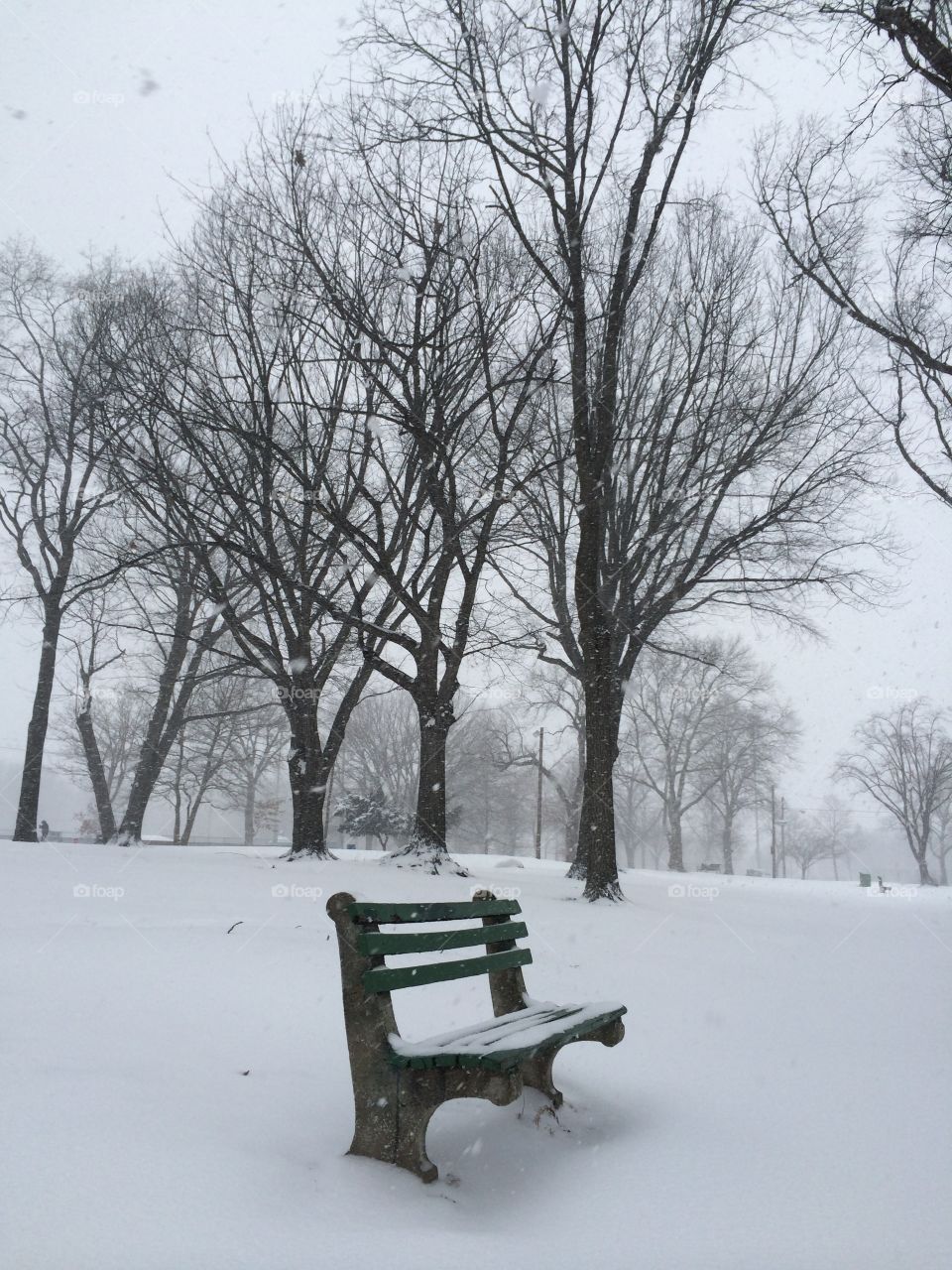 Snow bench