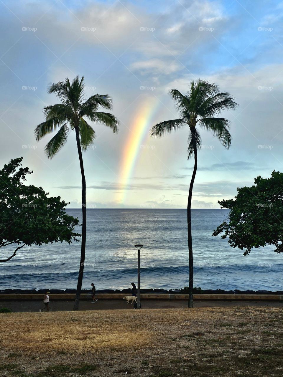 Kakaako Waterfront Park