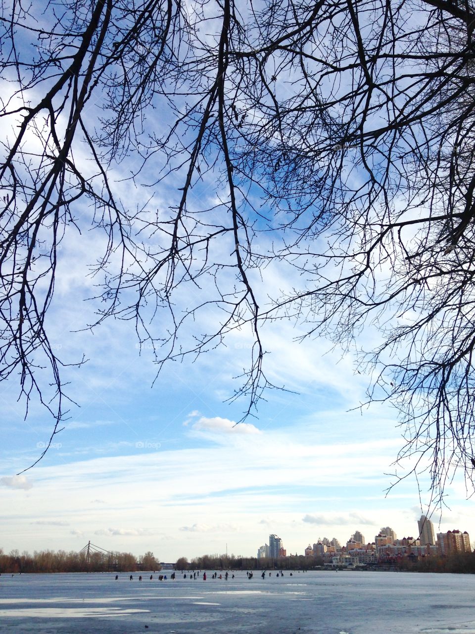 Tree, Winter, Landscape, Snow, Cold