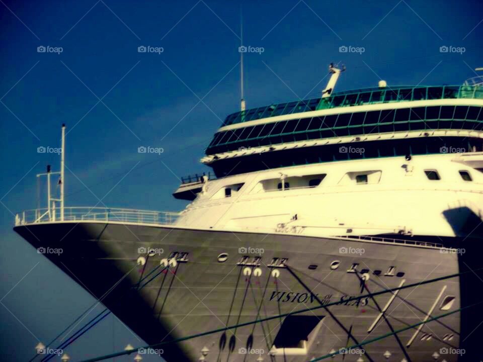 Vision of the Seas.