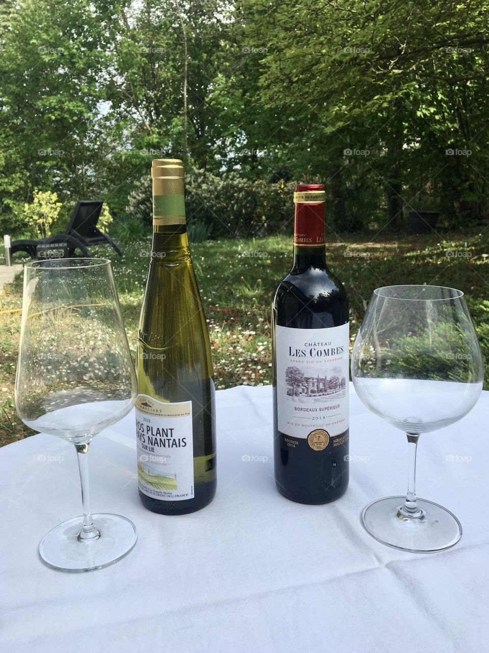 Different wines with their specific glasses