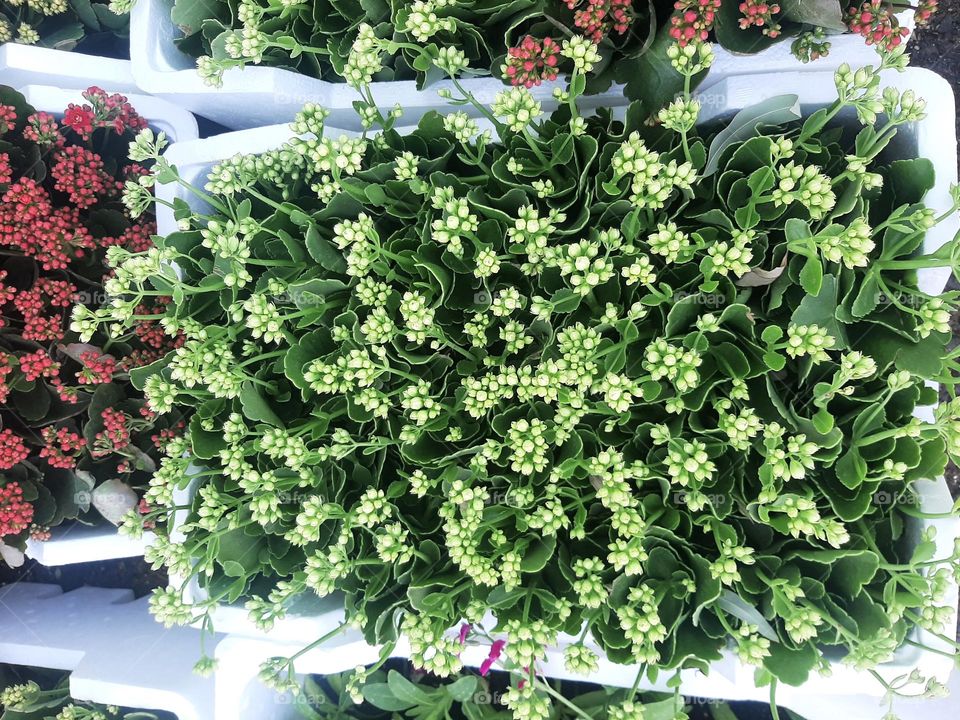 Please make me happy, I am poor, I need your help with support