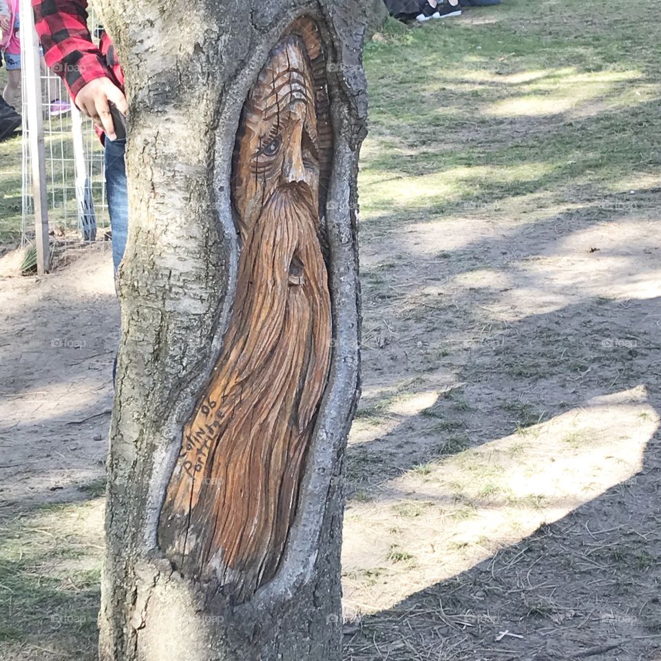 Tree art