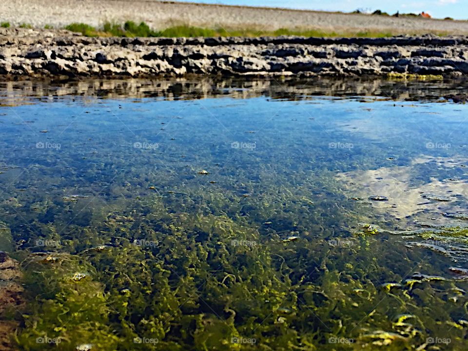 A small water hole with seaweed!