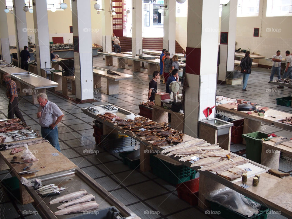 fish tuna market madeira by ptrendy