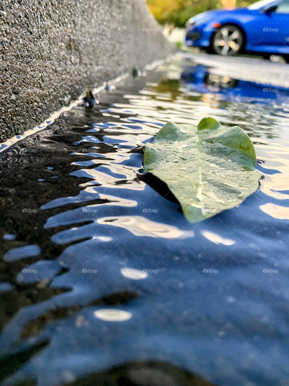 A green leaf floating down a stream by the sidewalk.
