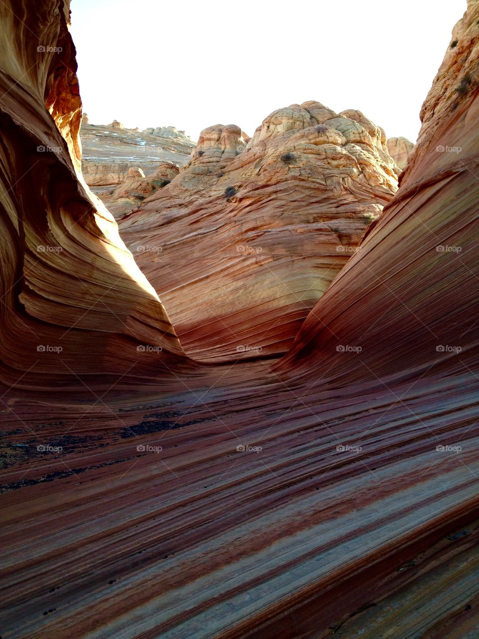 The Wave, AZ