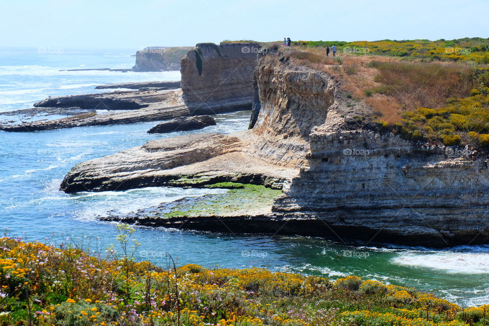 Yellow wildflowers add a dash of color to a beautiful coastal bluff.