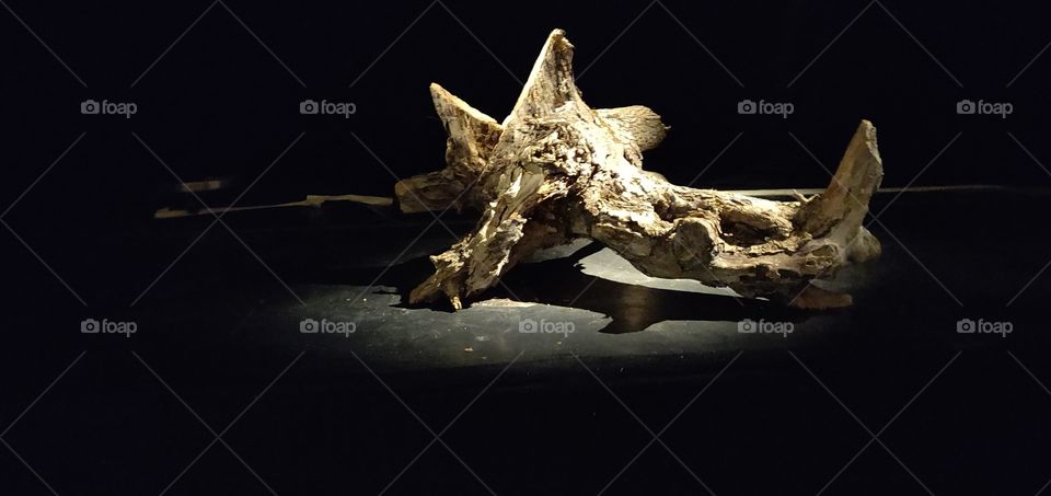 Piece Of Art @exhibition