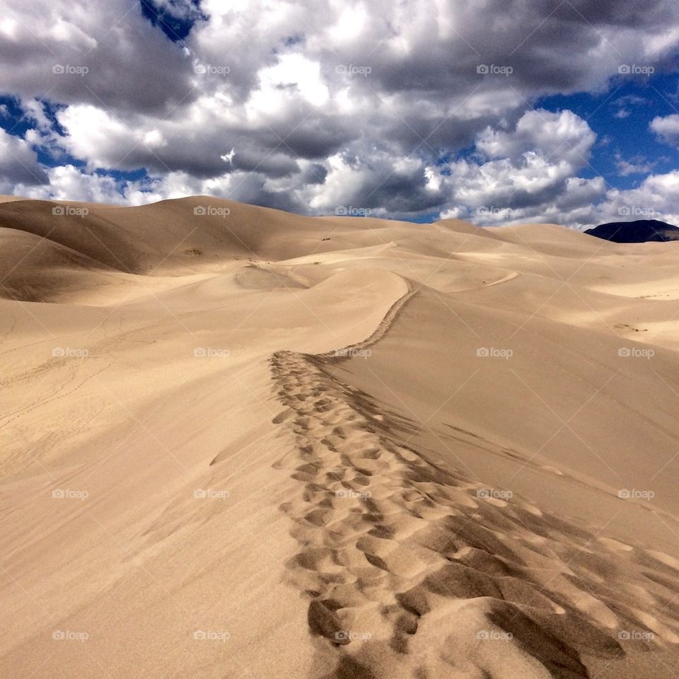 Desert in Colorado