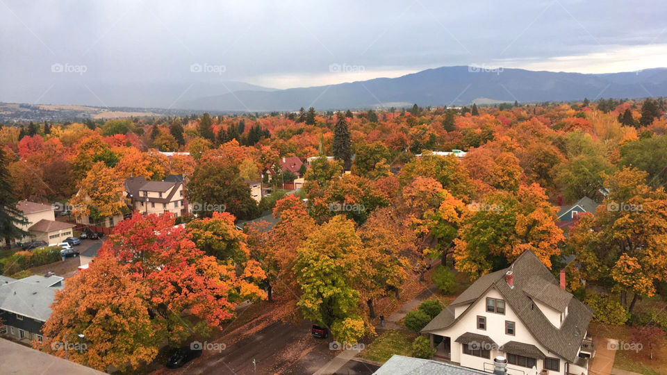 Mountains and fall trees in Missoula, Montana. 