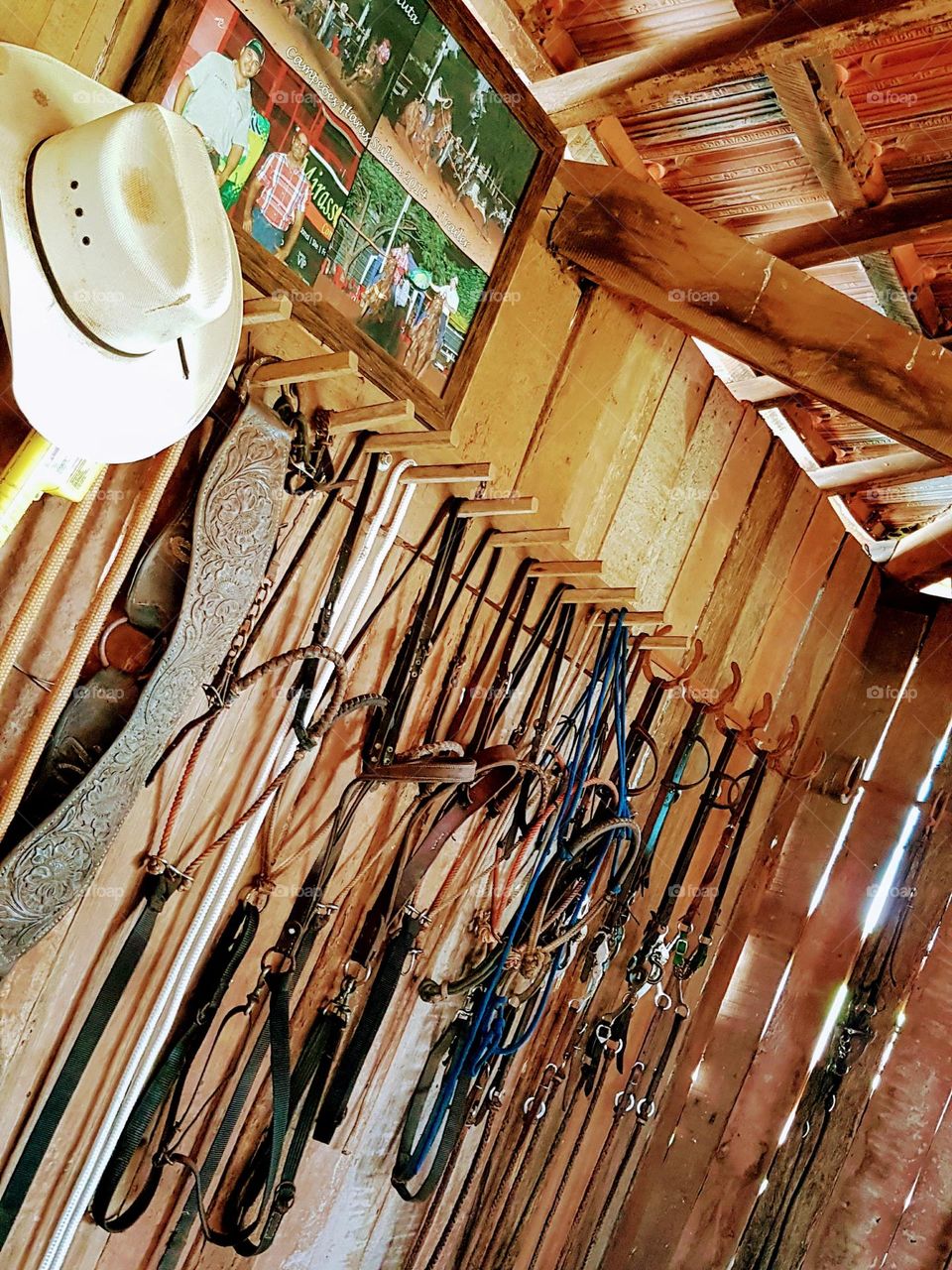 Quarto de selas, fazenda, curral antigo