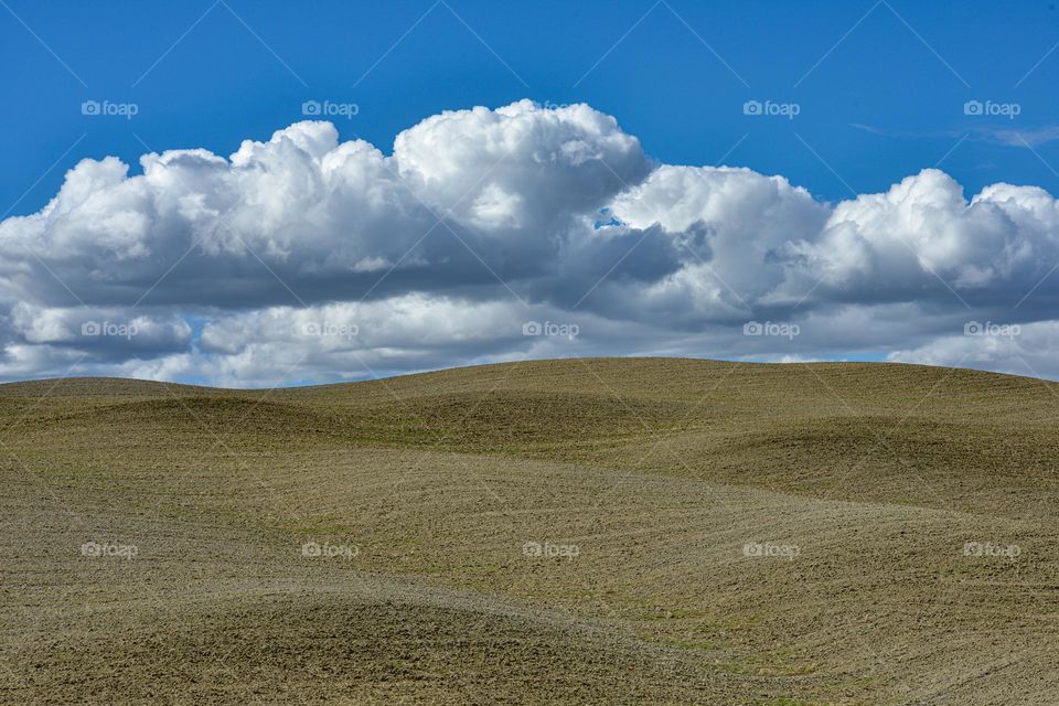 Tuscany landscape