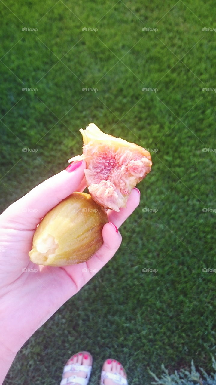 Fresh sweet figue fruits in the hand 