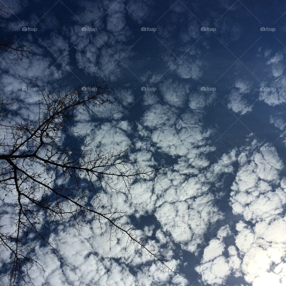 Sky