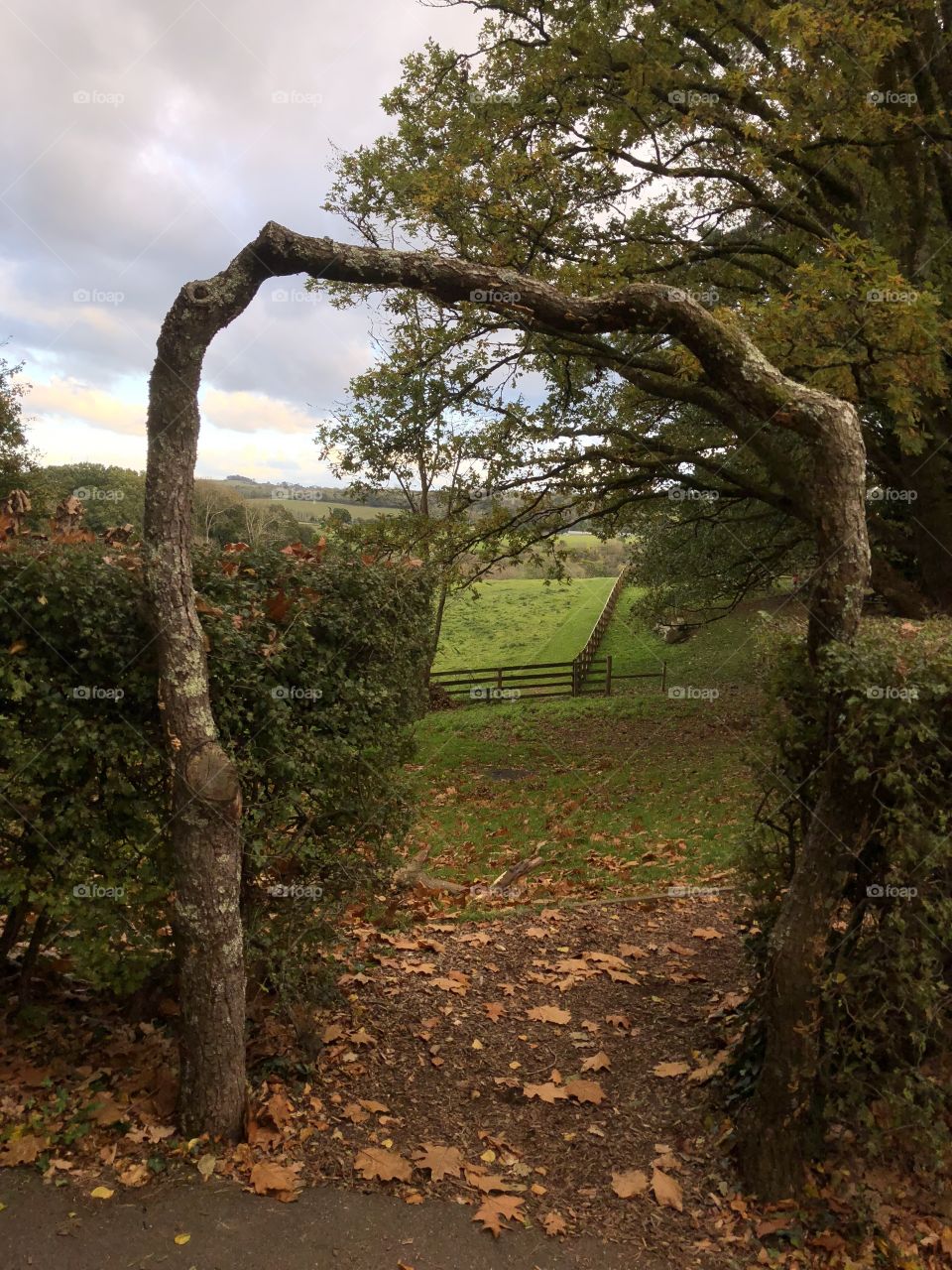 Autumn once more and this scene is particularly lovely as a result of this fab shaped archway.