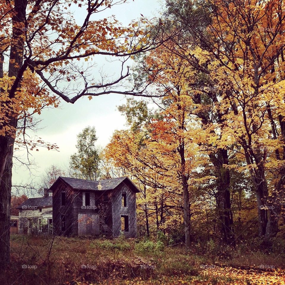 Spooky house