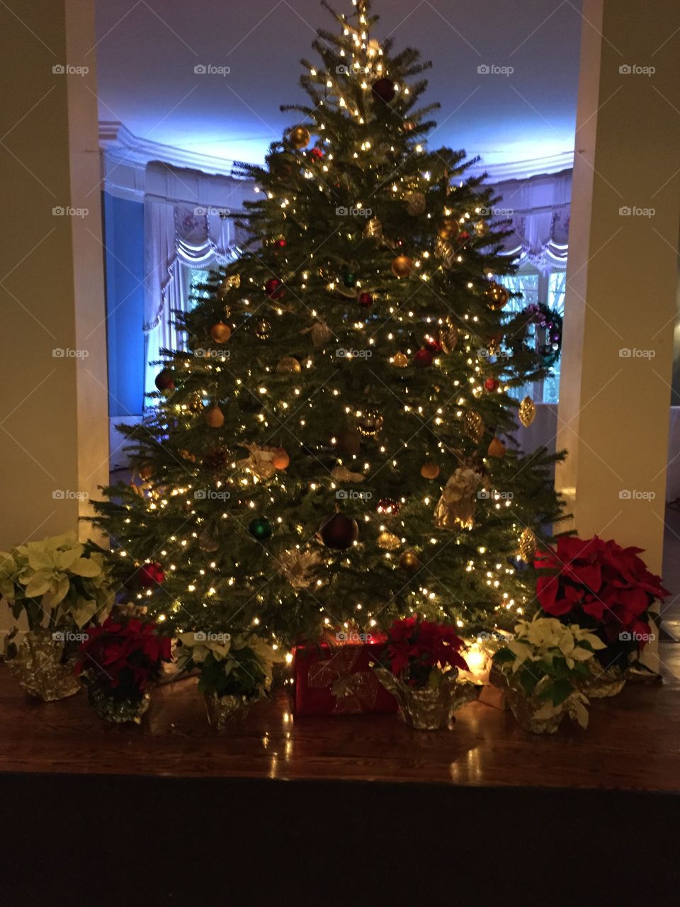 Christmas tree at Genesee Valley Club