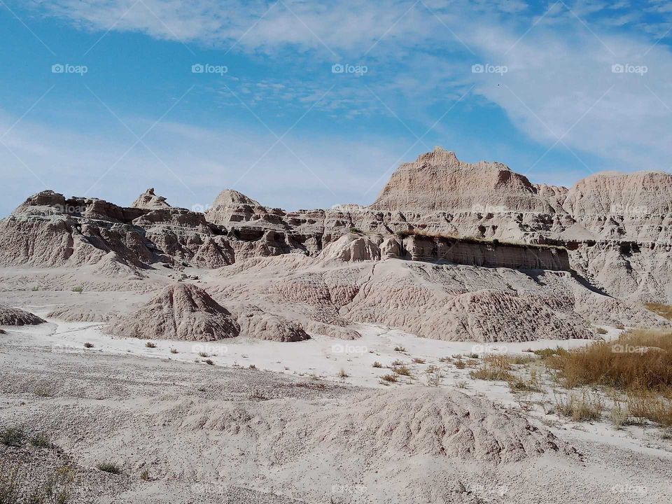 Desert Ash of beauty