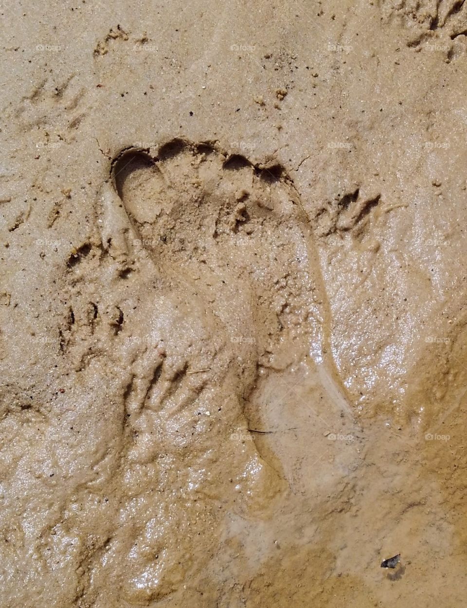 footprint and then some