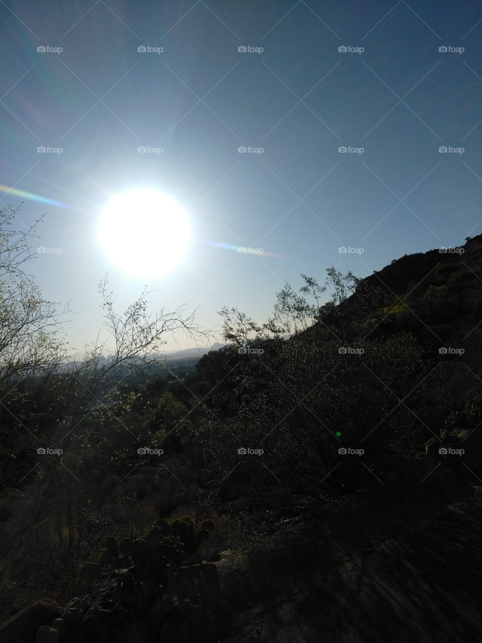 Arizona sun