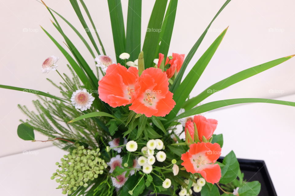 Floral arrangement